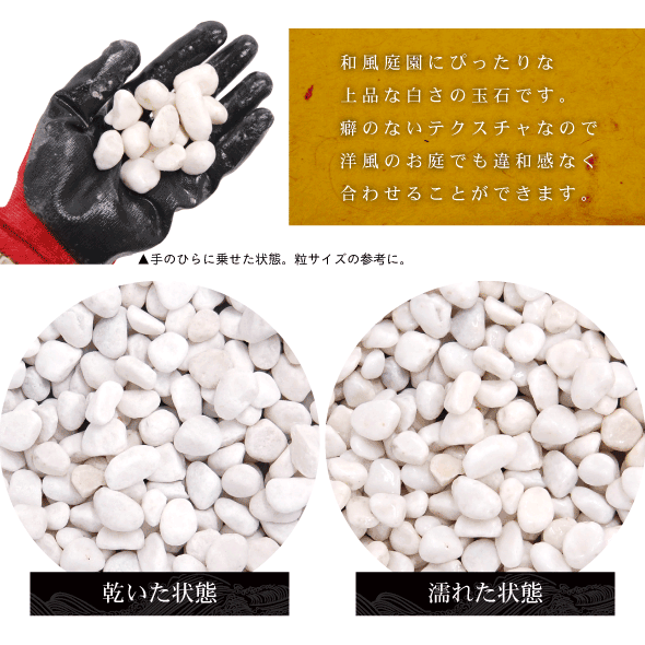 �����ߺ��� ���20mm 10kg��3�ޡ�����̵����[ ���� ���� �̺��� ����� �� ����� ���Ѻ��� ]