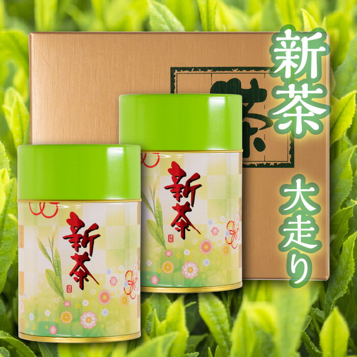 セット・詰め合せ 【大走り新茶｜100g 2本缶入り】静岡県産・お茶・ギフト・プレゼント・セット・詰め合わせ・母の日ギフト　2024年