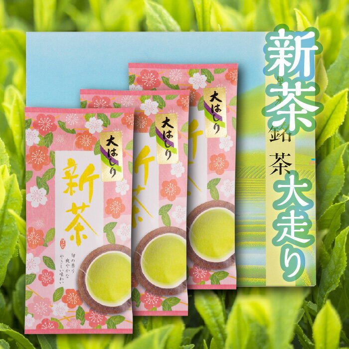 セット・詰め合せ 【大走り新茶｜100g 3本箱入り】静岡県産・お茶・ギフト・プレゼント・セット・詰め合わせ・母の日ギフト　2024年