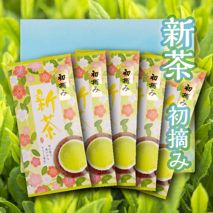 セット・詰め合せ 【初摘み新茶｜100g 5本箱入り】静岡県産・お茶・ギフト・プレゼント・セット・詰め合わせ　2024年