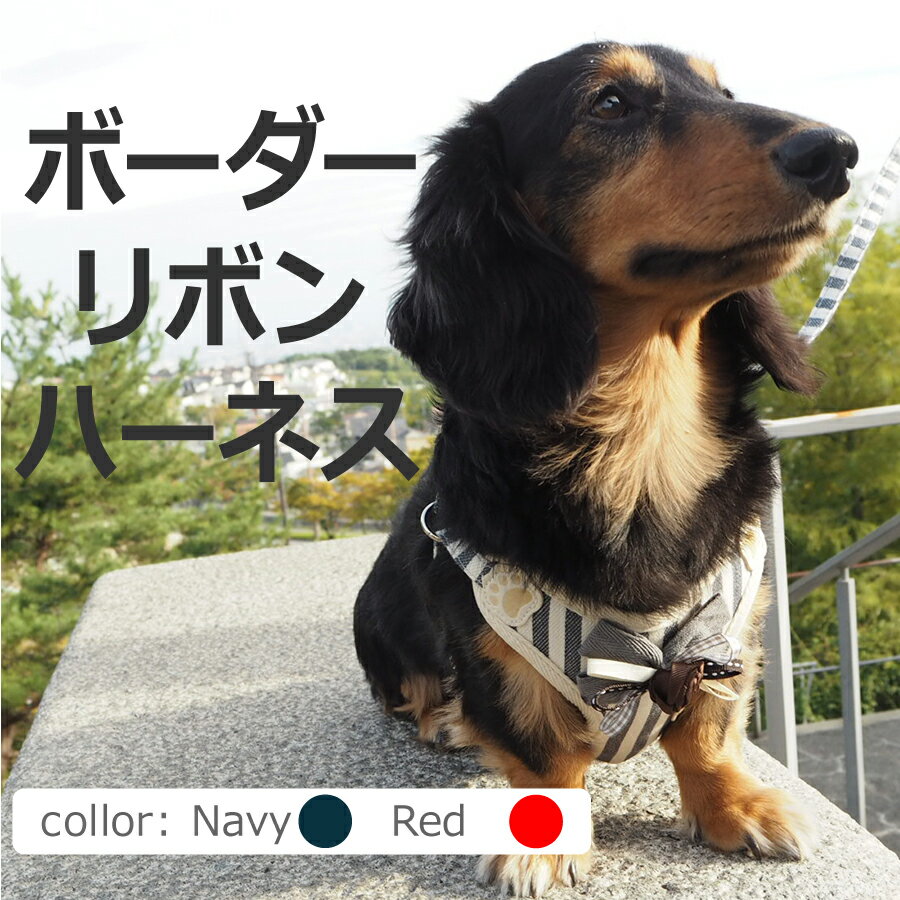 お揃いのリード付きボーダーリボンハーネス【リード】【ハーネス】【2点セット】