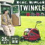 о졿 2ǯݾ Х ȥ󥯥 AIRBUGGY TWINKLE[Ѳٽ25kg   ¿Ƭ 淿  Ϸ ư  ɺ   ι 塼 ڥåȥ]