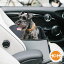 K&H ペット用ドライブボックス / モッド セーフティシート [シートベルト固定 組立簡単 飛び出し防止用リード クッション付き 車内 犬 猫 保護シート グレー タン カーキ ドライブ ペット MOD SAFETY SEAT]