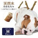 ウッディー・タフ・スティック ペットステージ (Petstages)/天然木のワンちゃん用おもちゃ(Mサイズ)2本セット[天然木 木 おもちゃ トイ ペットトイ...