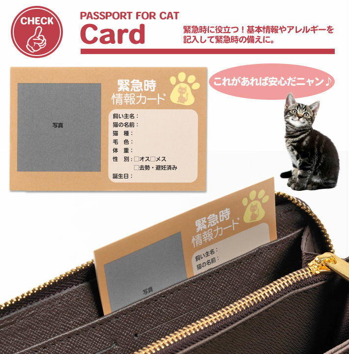 犬 おやつ 無添加 自然派おやつ フード 春の新作続々 食べむら お買い物マラソン クーポン ポイント 食いつき 猫 健康手帳 猫用品 猫用 愛猫 手帳 健康管理 母子手帳 ねこちゃん ワインレッド 子ネコ ワクチン接種 ネコ カルテ お薬手帳 子猫用 ワクチン手帳 防災 履歴 犬 おやつ 無添加 自然派おやつ フード 春の新作続々 食べむら お買い物マラソン クーポン ポイント 食いつき 猫 健康手帳 猫用品 猫用 愛猫 手帳 健康管理 母子手帳 ねこちゃん ワインレッド 子ネコ ワクチン接種 ネコ カルテ お薬手帳 子猫用 ワクチン手帳 防災 履歴