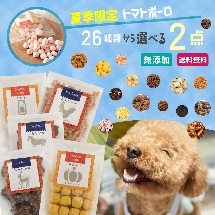 【スーパーSALE限定100円クーポン】 犬 おやつ 無添加 セレクト わたしいぬ お試し 【新26種から選べる2種類】 食べくらべセット ( チキン 魚 馬肉 鹿肉 クッキー さつまいも ヤギミルク ) 犬用おやつ トリーツ ギフトしつけ いぬ おや