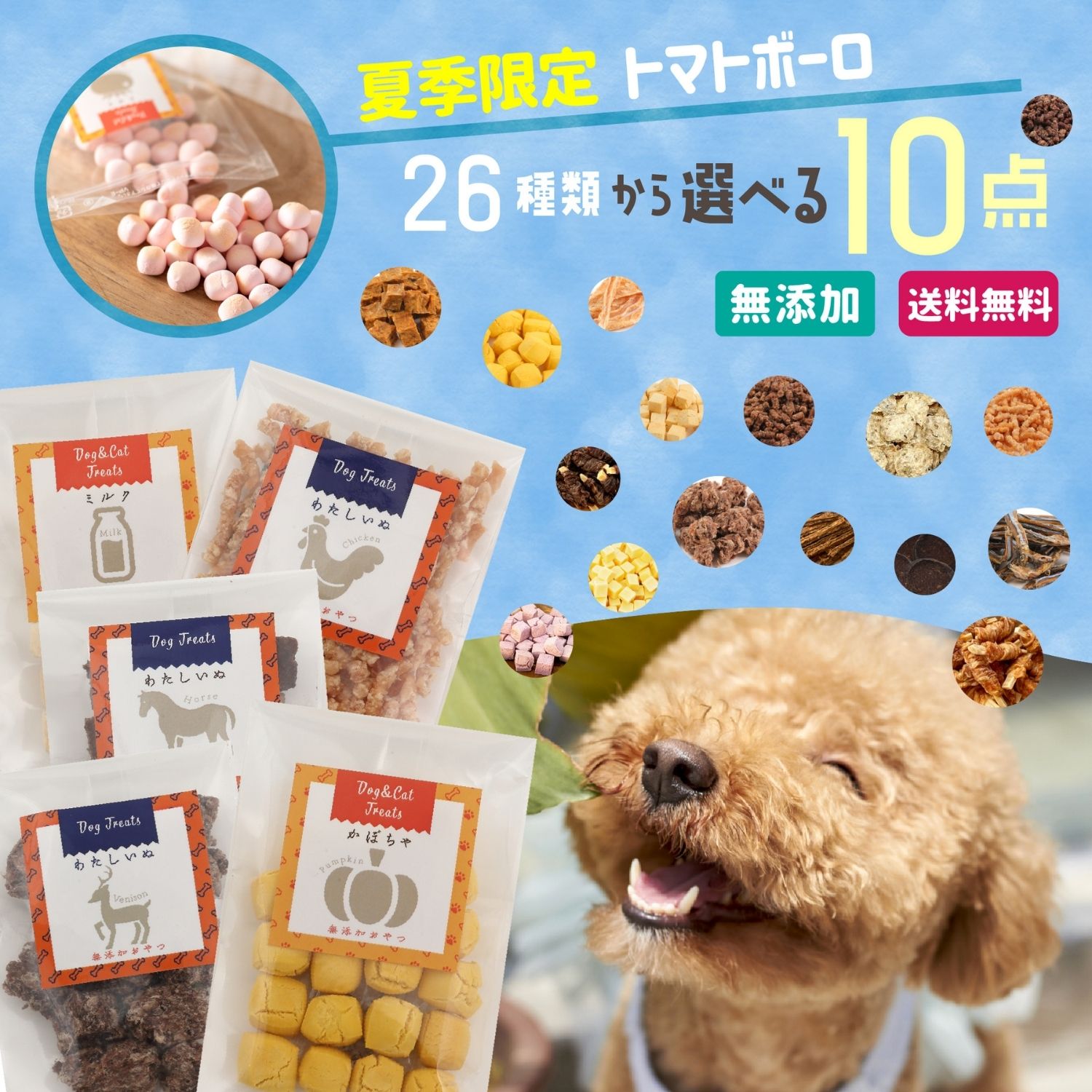 【スーパーSALE限定100円クーポン】 犬 おやつ 無添加 セレクト わたしいぬ お試し 【新26種から選べる10種類】 食べくらべセット ( チキン 魚 馬肉 鹿肉 クッキー さつまいも ヤギミルク ) 犬用おやつ トリーツ ギフトしつけ いぬ おや