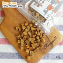 ＼ポイント最大5倍+150円クーポン／ 犬 おやつ 無添加 国産 Bon rupa ( ボンルパ )「京」 ぴちぴち鮭ちゃん 40g 犬用 猫用 トリーツ おやつ 魚 さけ しゃけ さかな 犬 猫