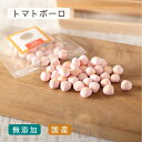 ＼ポイント最大5倍＋150円クーポン／ 犬 おやつ 無添加 国産 ｜トマトボーロ | ヤギミルク トマト 野菜ボーロ 犬 ボーロ ペット用ボーロ 全年齢 ドックフード 無着色 犬用オヤツ ギフト シニア犬 犬オヤツ 小型犬 プレゼント お試し 老犬