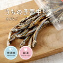 猫 おやつ 無添加 国産 きびなご (40g) 国産 熊本水揚げ 犬用 猫用 おやつ 魚 フード キャットフード ドックフード 犬おやつ 猫おやつ 高タンパク質...