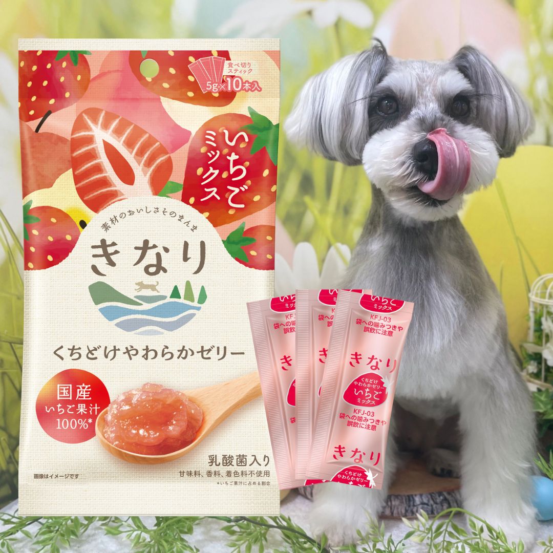 新発売＼ポイント5倍＆150円クーポン／ 素材のおいしさ凝縮 犬用ゼリー | きなり くちどけやわらかゼリー いちご 5g×10本 | 犬 おやつ 無添加 国産トッピング 犬用オヤツ いちご おやつ ゼリー ドッグフード パウチ トッピング