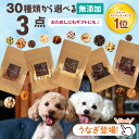 \エントリ&2点購入P5倍・3点でP10倍/ 送料無料 30種から選べる3種類食べくらべセット | 犬 おやつ 無添加 国産 詰め合わせ お試し さつまいも 馬肉 魚 ふりかけ ボーロ チーズ 鹿肉 クッキー ラッピング ギフト ささみ 無添加おやつ 老犬 犬用 チップ ジャーキー 高級