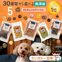 【2点購入P5倍・3点P10倍★要エントリ】 送料無料 30種から選べる5種類食べくらべセット | 犬 おやつ 無添加 国産 詰め合わせ お試し さつまいも 馬肉 魚 ふりかけ ボーロ チーズ 鹿肉 クッキー ラッピング ギフト ささみ 無添加おやつ 犬