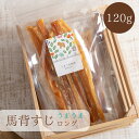 犬 おやつ 無添加 馬背すじ スティック ロング 120g 60g×2袋 犬おやつ ガム ジャーキー アキレス腱 馬アキレス 歯磨き ガム デンタルケア 満腹感サポートドックフード 固い 硬い 馬 アキレスロング 長持ち 犬用 小型犬 中型犬 馬肉