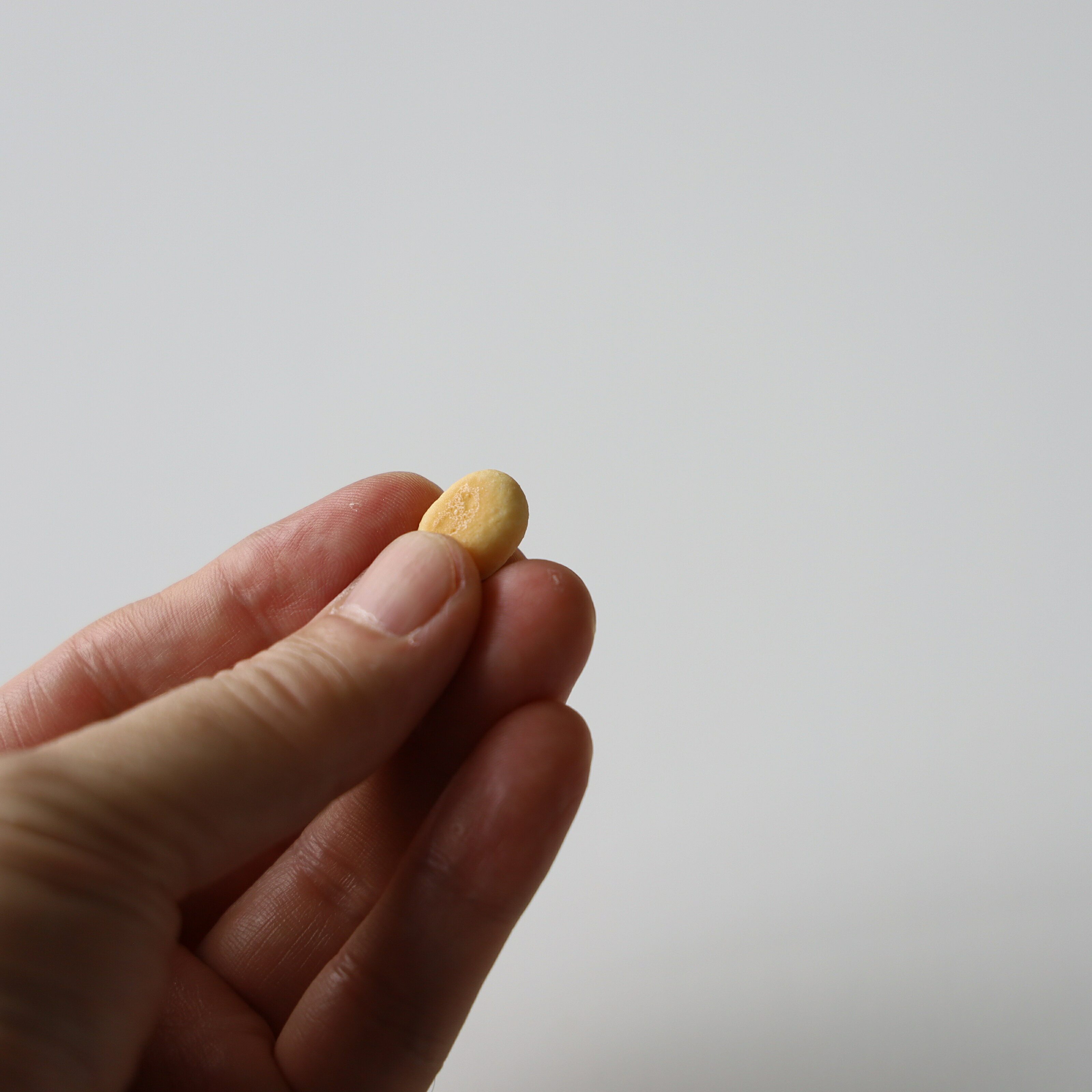 dogdeco 国産はちみつボーロ りんご 90g　愛犬用 無添加 国産 おやつ 食いつき ト...
