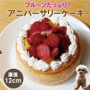 犬用 ケーキ 冷凍 犬 おやつ 無添加 ケーキ【フルーツ たっぷり アニバーサリー ケーキ】ドッグデリファクトリー 犬用おやつ 犬用ケーキ ペットケーキ ドッグフード ドックフード 手作りケーキ 犬用 おやつ 記念日 誕生日ケーキ