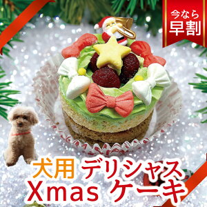 【今なら早割】犬 クリスマスケーキ （犬用 デリシャス クリスマスケーキ） 無添加 ケーキ ドッグデリファクトリー