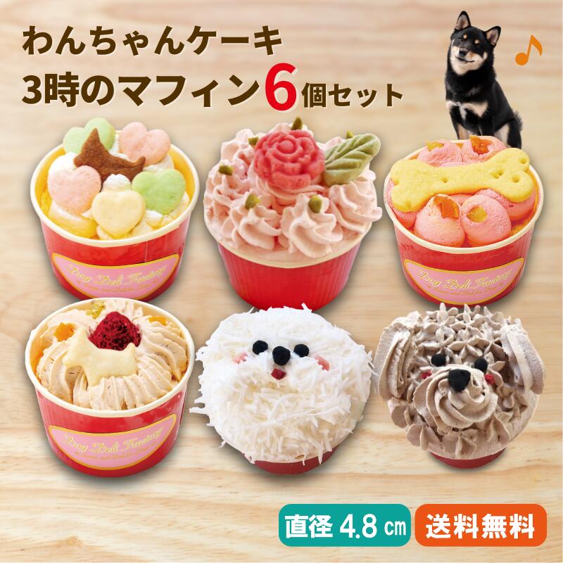 ���ѥ����� ̵ź�� ��������������3���Υޥե��� 6�ĥ��åȡۥɥå��ǥ�ե����ȥ꡼������̵����