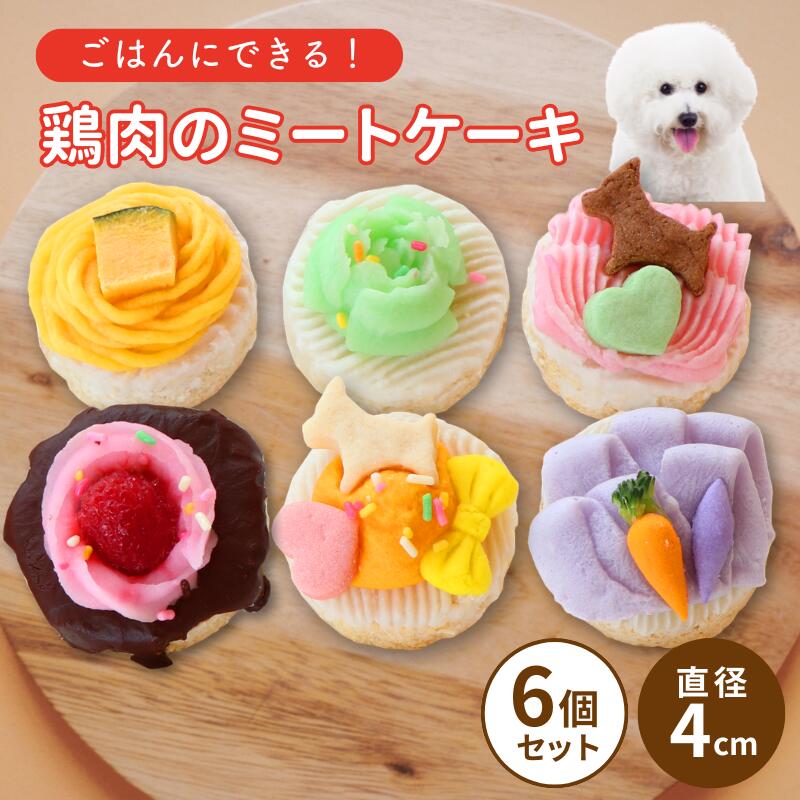 ���� �ߡ��ȥ����� 6�ĥ��å� ������̵���ۥߥ˥ѡ��ƥ������å� ���ѥ����� ̵ź�� ������������ ��������� ���� Ȭ���� �ɥå��ǥ�ե����ȥ꡼ ����