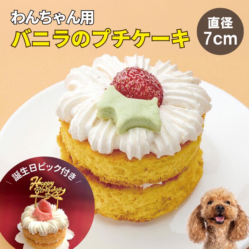 ���������ԥå�̵���۸��� ������ �Х˥�Υץ������� �� ���� ����å������������� ��ǰ�� ���եȤˤ�������åɥå��ǥ�ե����ȥ꡼