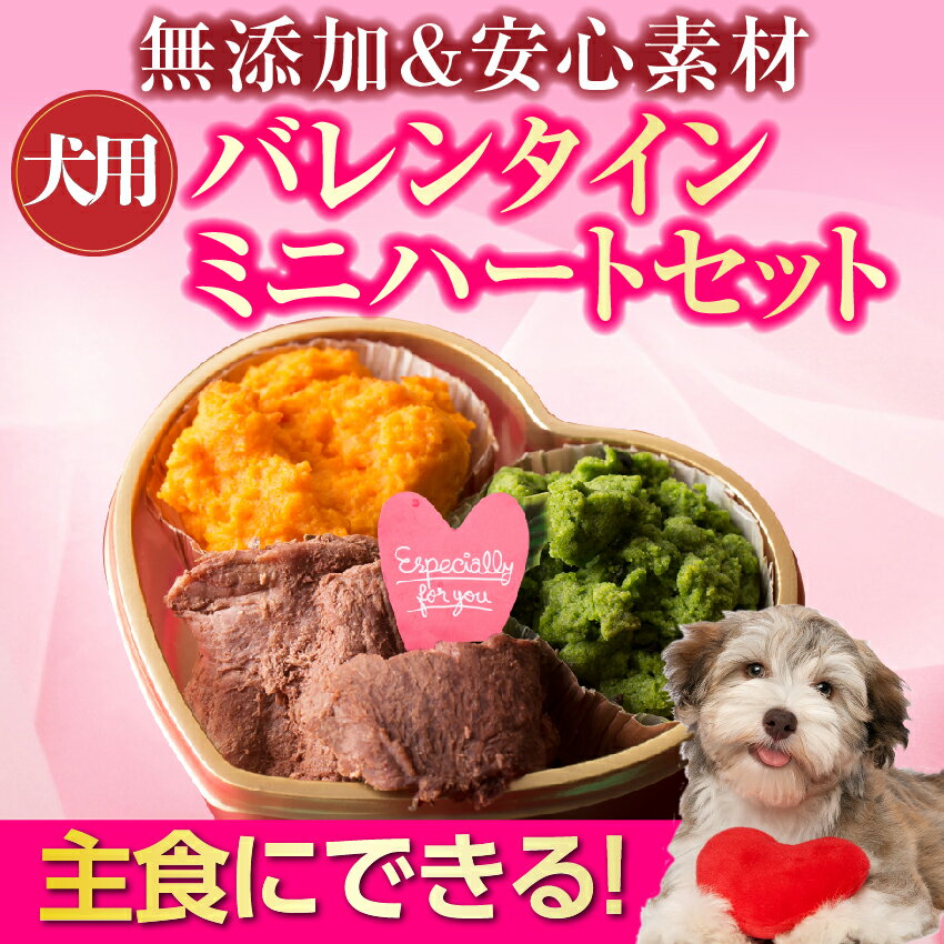 【期間限定販売】犬用 バレンタイン ケーキ・手作りご飯 セット(ミニ ハート for ヴァレンタイン)格安通販　バレンタイン　人気　ランキング