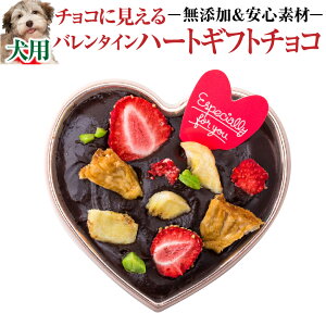 【期間限定販売】犬用 バレンタイン チョコ(ハートのギフト チョコ ケーキ)ヴァレンタイン