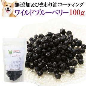 犬・猫の目に 無添加・有機 ブルーベリー(ワイルドブルーベリー 100g)オーガニック