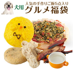 犬 手作りご飯 おやつ のセット(無添加・グルメ 福袋)【送料無料】