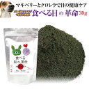 【獣医推奨】犬 猫用 目のケア サプリ( 食べる目の革命 30g)無添加 ブルーベリー アントシアニン ポリフェノール ルテイン マキベリー ..