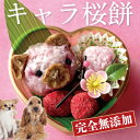 犬用 無添加 キャラ・桜餅(さくら餅・ひな祭り)無添加 犬用ケーキ