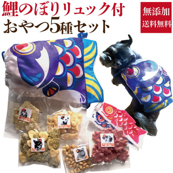 犬用 子供の日 鯉のぼり・お菓子(犬 おやつ 5点)詰め合わせ【通常便 送料無料】無添加 国産