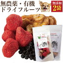 犬 果物 おやつ(食後の楽しみ フルーツ ミックス 2袋)無添加 苺・バナナ・ブルーベリー