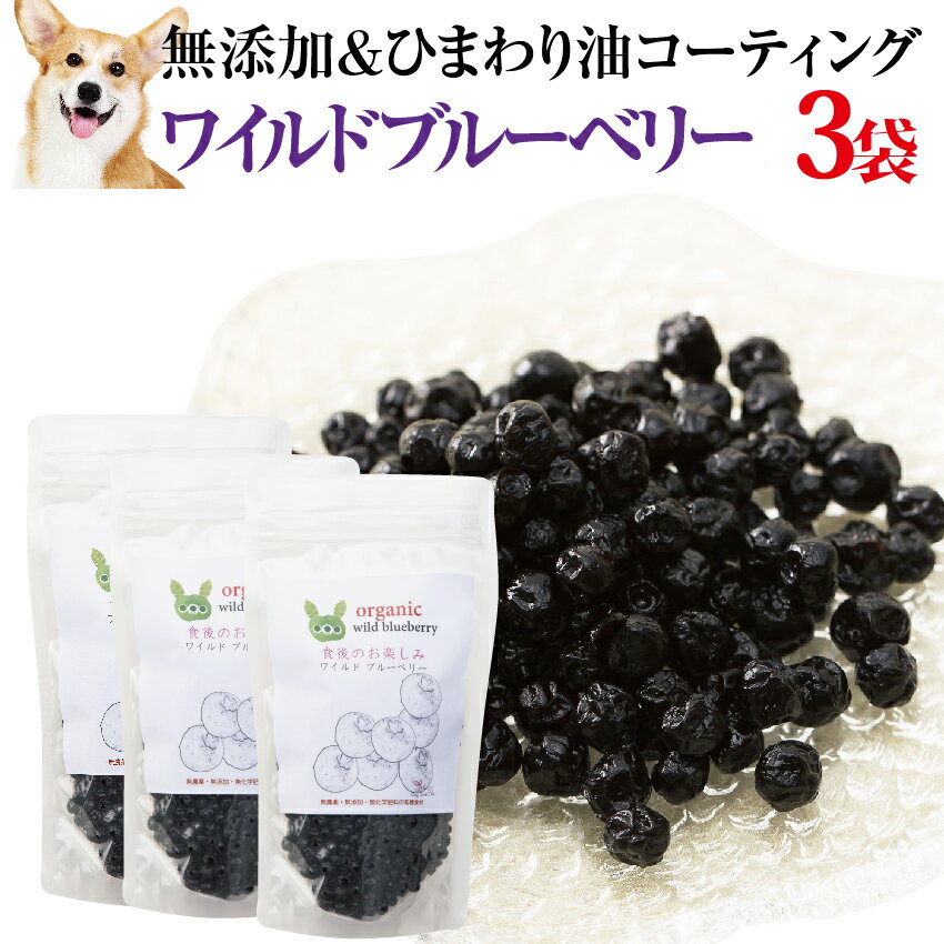 犬・ペットの目 に 有機・無添加 ブルーベリー(ワイルドブルーベリー 1袋100g×3袋)おやつ 【通常便 送料無料】