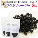 犬・ペットの目 に 有機・無添加 ブルーベリー(ワイルドブルーベリー 1袋100g×3袋)おやつ 