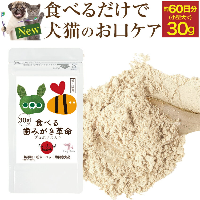 【5個セット】【eFace-V (45粒)×5個】【犬猫】【歯肉に塗布するカプセル入ジェル】【口腔】(イーフェイスV) (C)