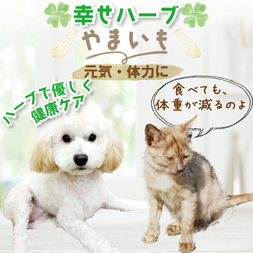 犬・猫用 体力・疲労・栄養補給に(しあわせ ハ...の紹介画像2