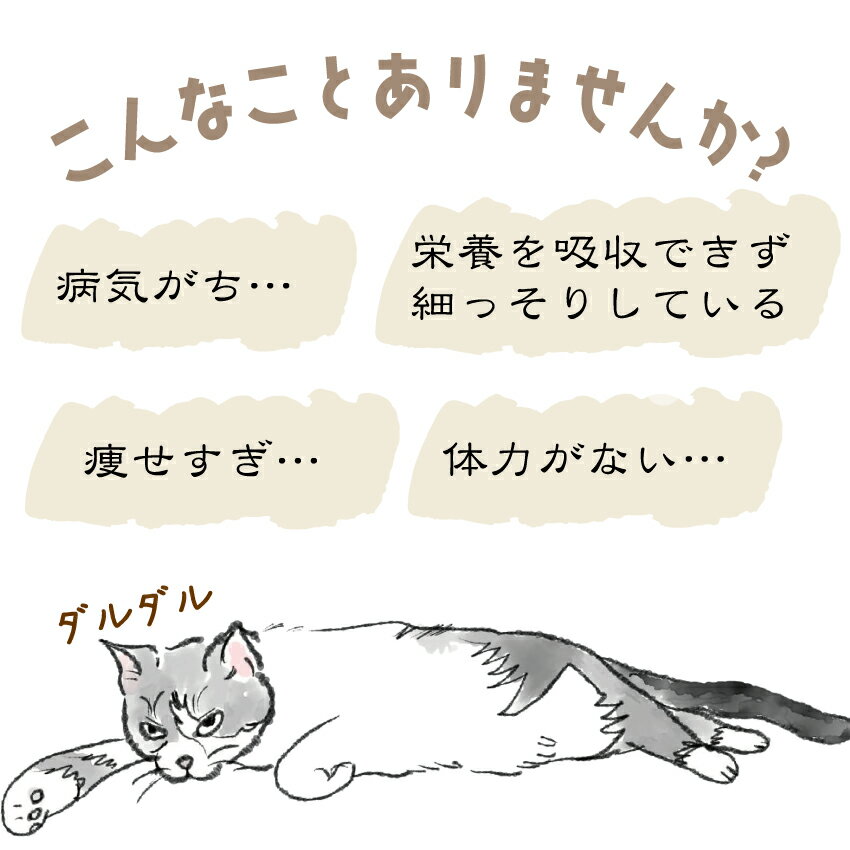 犬・猫用 体力・疲労・栄養補給に(しあわせ ハ...の紹介画像3