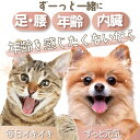 犬 猫用 老化・筋力・体力 サプリメント(みらいのヒトサジ)無添加 高齢犬・シニア 2