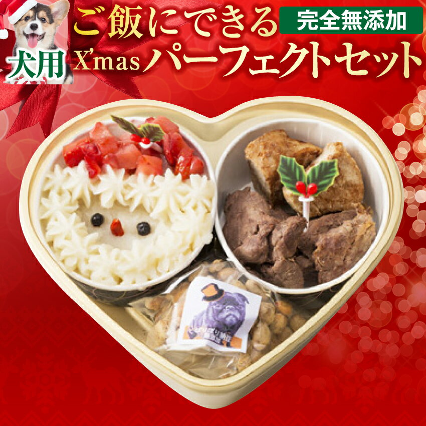 【12/22までに当店出荷】犬用 クリスマスケーキ(犬 クリスマスケーキ・おやつ・手作りご飯 4点セット)無添加 ケーキ