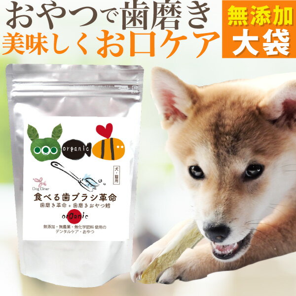 犬 歯磨きおやつ (食べる 歯ブラシ 革命・大袋)犬用歯磨き おやつ はみがき 歯石 犬の口 ケア デンタルケア 簡単 はみがき 歯垢 歯石とり 歯石除去 ペット お得な大容量