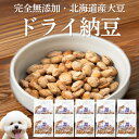 犬 納豆 おやつ(フリーズドライ納豆 10袋)国産 無添加 有機 オーガニック フリーズドライ ドライ納豆 ドライ 天然 自然食 犬用 ふりかけ トッピング ...