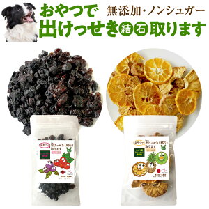 犬 結石 おやつ 無添加(おやつで出けっせき(結石)取ります)腎臓ケア・尿pHバランス調整 猫もOK サプリのようなオヤツで尿路の健康をサポート ストルバイト・シュウ酸カルシウム結石