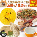 犬用 無添加 お得セット 手作りごはん 詰め合わせ 5種入り 国産 人気 おやつ 健康食品 ギフト 誕生日 プレゼント 食いつき抜群