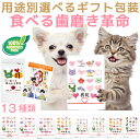 【ギフト・プレゼント 用】犬・猫の歯石・歯垢・口の臭いに(食べる歯磨き革命 お試し)歯磨きが苦手な犬用 無添加 サプリ(5g・小型犬 約10日分)