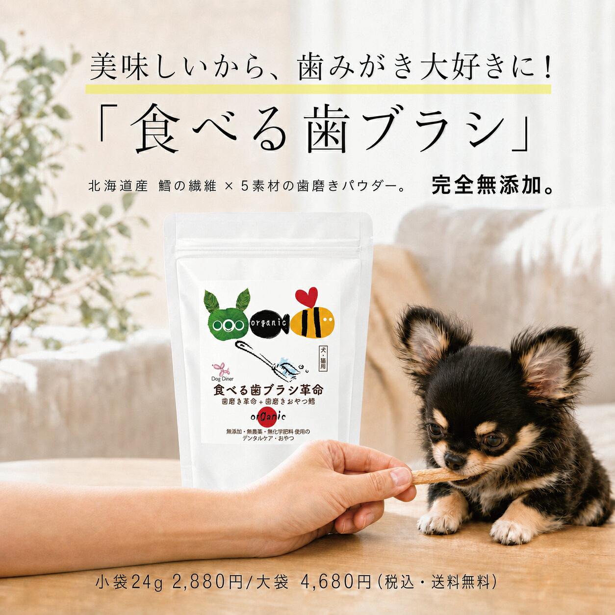 【犬 歯磨き おやつ】無添加 犬 歯磨きガム 代替 食べる 歯ブラシ 革命 大袋 犬 猫...