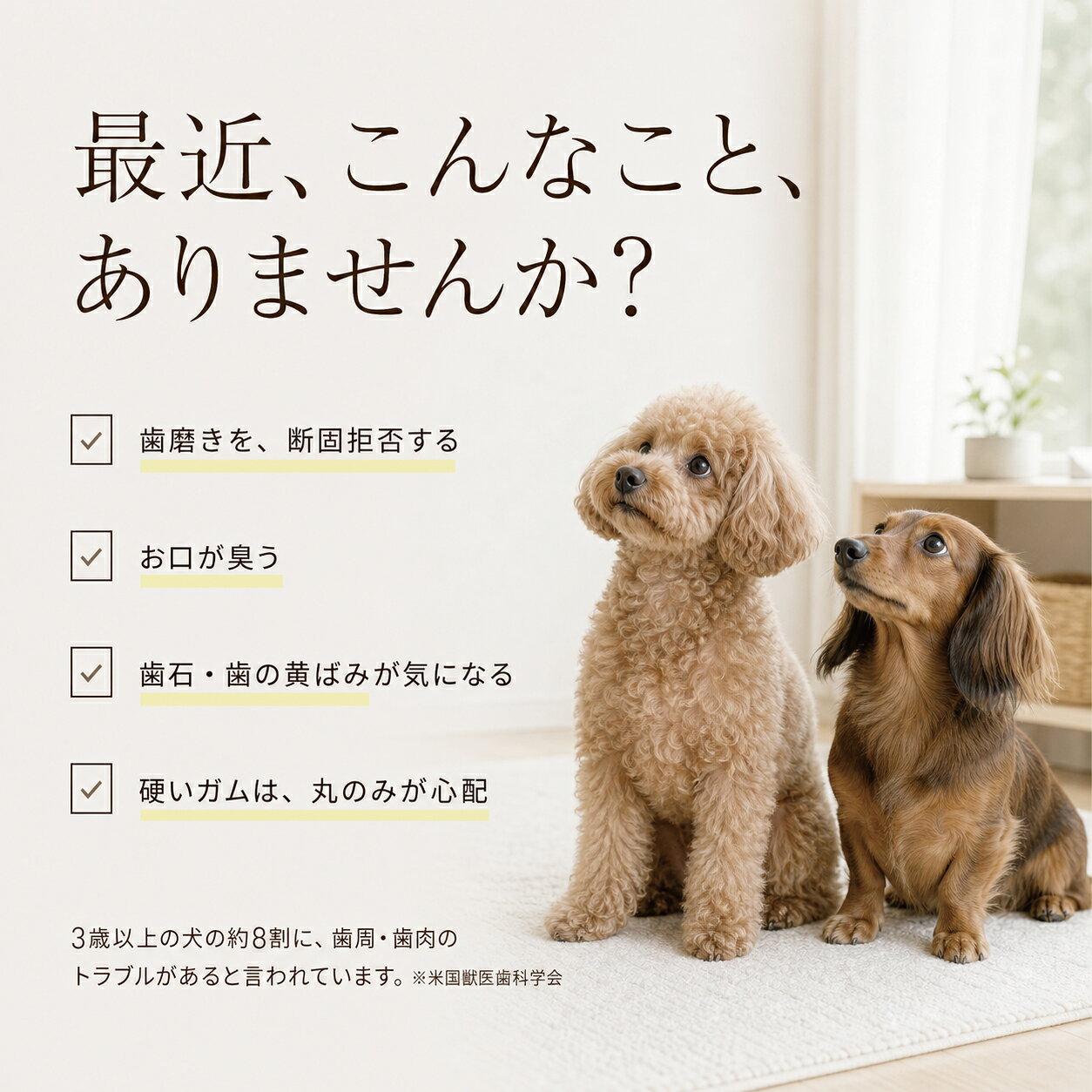 【犬 歯磨き おやつ】無添加 犬 歯磨きガム 代替 食べる 歯ブラシ 革命 大袋 犬 猫...