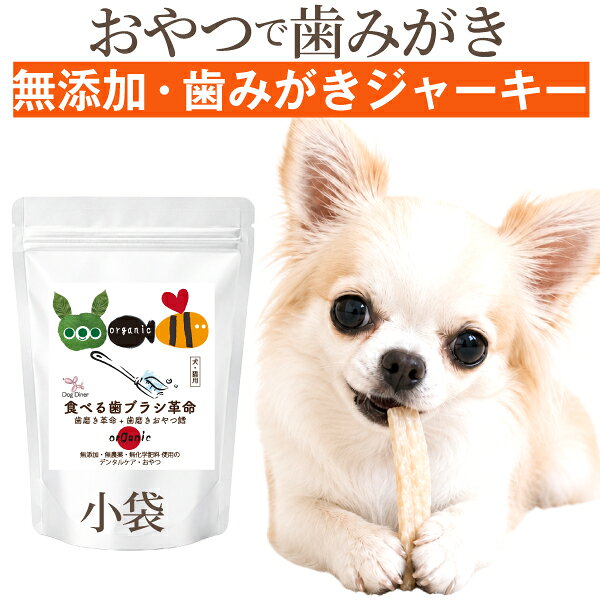 食べる歯ブラシ革命 24g 無添加 犬用デンタルケアおやつ 国産鱈使用