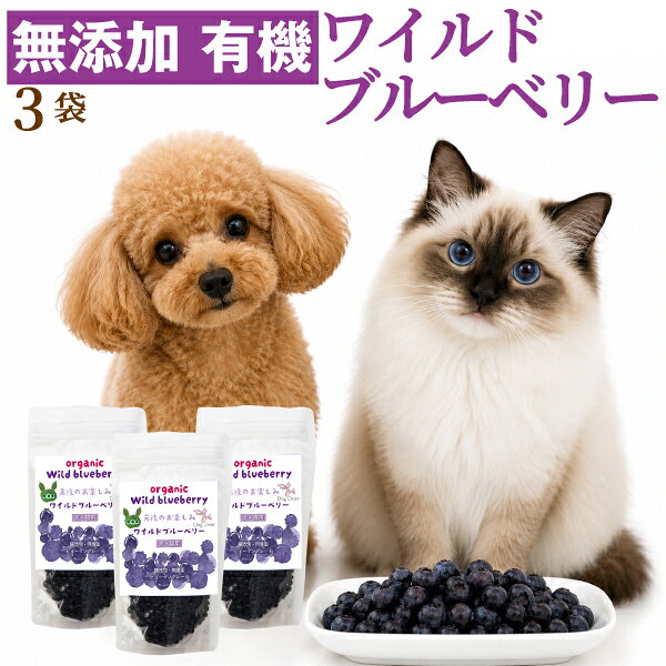 【無添加・オーガニック】犬・猫用 ワイルドブルーベリー 100g×3袋(300g) ペットサプリメント 目の健康 アントシアニン ルテイン ポリフェノール が豊富なおやつ・犬用おやつ 猫用おやつ 高齢犬 シニア ドッグダイナー