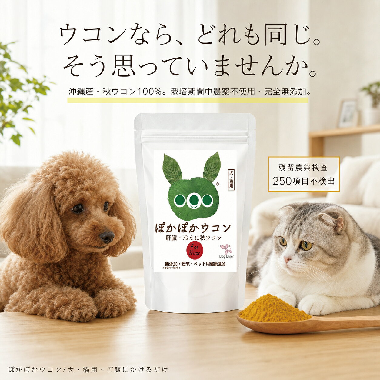 【犬 猫 肝臓 冷えサプリ】ぽかぽかウコン 60g ドッグダイナー 沖縄産 秋ウコン100% クルクミン 無添加 無農薬 国産 粉末 パウダー ふりかけ ターメリック シニア 老犬 高齢猫 肝機能 dogdiner-10005118 犬猫の健康食専門店ドッグダイナー サンプル画像2