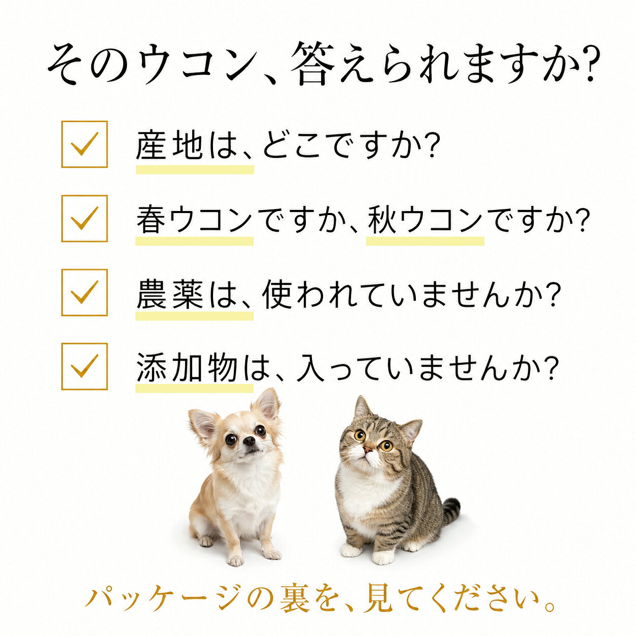 【犬 猫 肝臓 冷えサプリ】ぽかぽかウコン 60g ドッグダイナー 沖縄産 秋ウコン100% クルクミン 無添加 無農薬 国産 粉末 パウダー ふりかけ ターメリック シニア 老犬 高齢猫 肝機能 dogdiner-10005118 犬猫の健康食専門店ドッグダイナー サンプル画像3